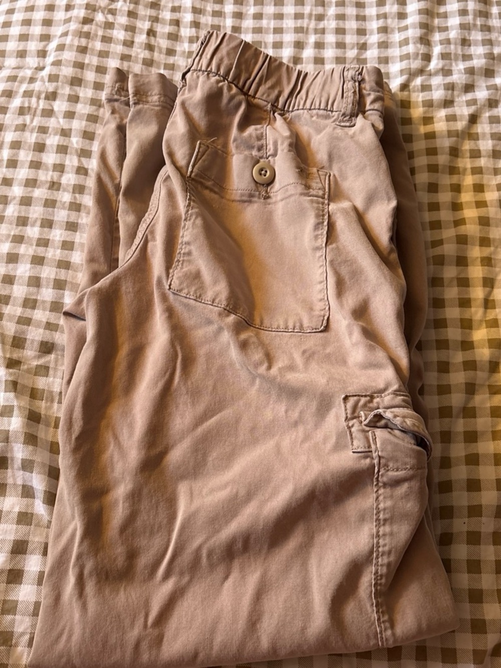 American Eagle Stretch Casual Pants in Light Taupe